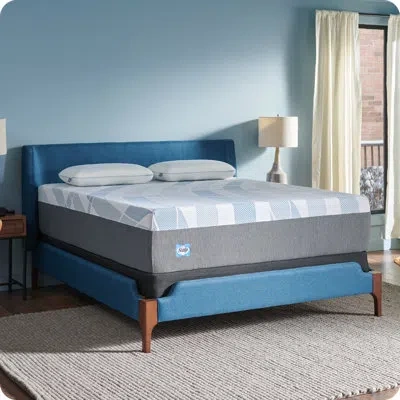 Sealy Dreamlife 14” Plush Foam Mattress-in-a-box