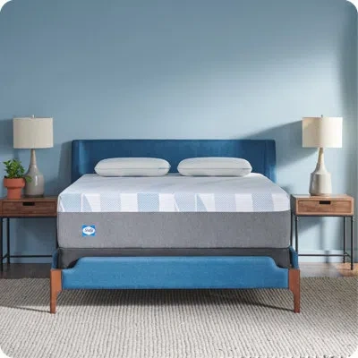 Sealy Dreamlife 14” Plush Hybrid Mattress-in-a-box