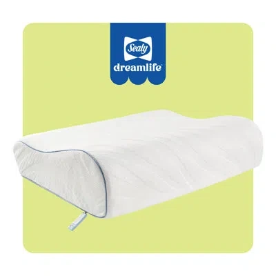Sealy Dreamlife Contour Memory Foam Medium Pillow, Standard In White