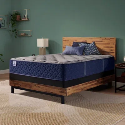 Sealy Dudley Chase 14.5" Medium Tight Top Innerspring Mattress