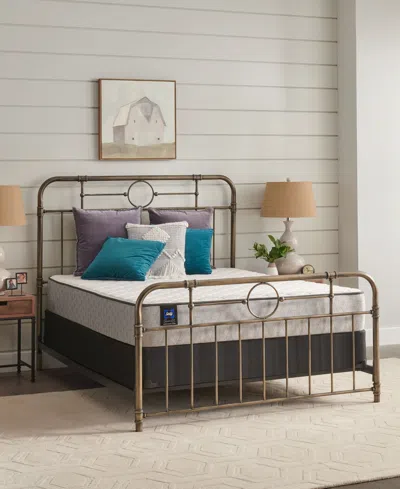 Sealy Essentials Autumn Ash 10.5" Soft Mattress- Full In Transparent