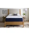 Sealy Essentials Crestview 12.5" Firm Mattress Set In No Color