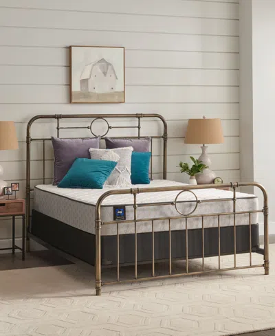 Sealy Essentials Summer Elm 8.5" Firm Mattress- California King In Transparent