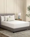 Sealy Flex Copper Mattress Protector, Queen In White