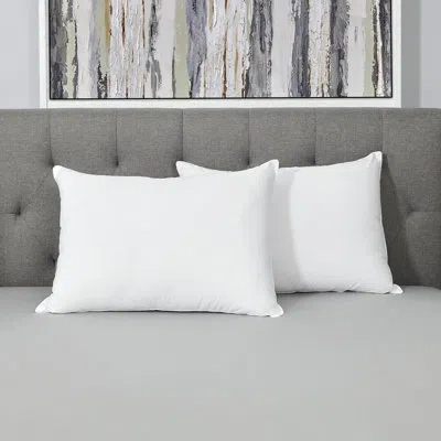 Sealy Healthy Nights Pillow In White