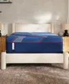 Sealy Posturepedic Elite Albany Ii 13" Medium Hybrid Tight Top Mattress In Transparent