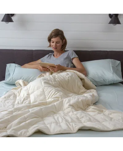 Sealy Quilted Plush 12.2lbs Weighted Blanket In Ivory