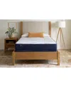 Sealy Sleep Essentials Escape 11.5" Medium Mattress Set In Transparent
