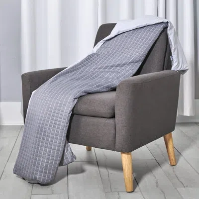 Sealy Weighted Blanket In Gray