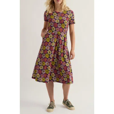 Seasalt Cornwall April Stretch Organic Cotton Fit & Flare Dress In Multi