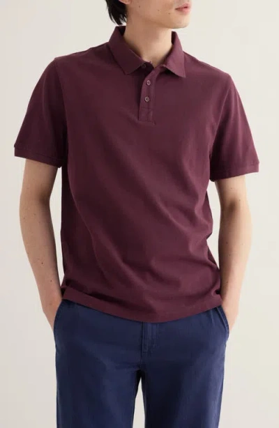 Seasalt Cornwall Balefire Organic Cotton Polo In Brown