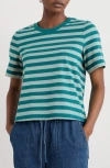 Seasalt Cornwall Copseland Stripe Organic Cotton T-shirt In Multi
