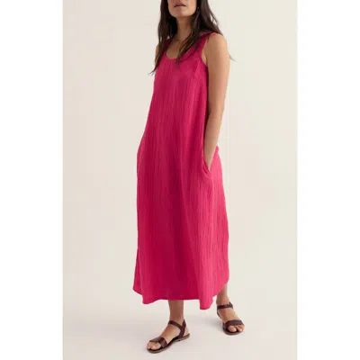 Seasalt Cornwall Hellborine Sleeveless Organic Cotton Dress In Pink