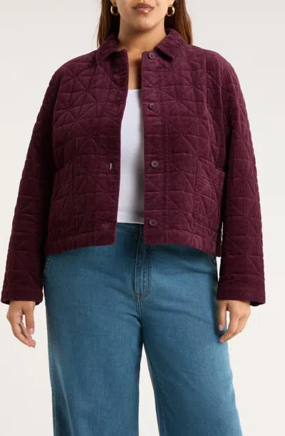 Seasalt Cornwall Incoming Tide Quilted Organic Cotton Corduroy Jacket In Brown