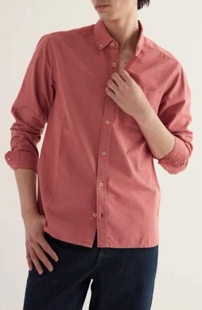 Seasalt Cornwall Jenken Garment Dyed Organic Cotton Oxford Shirt In Multi