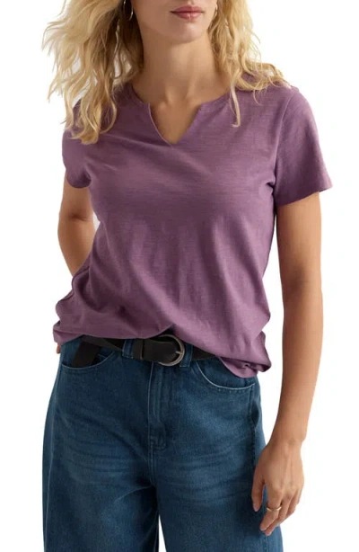 Seasalt Cornwall Kellow V-neck Organic Cotton T-shirt In Purple