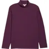 Seasalt Cornwall Landing Turtleneck Stretch Organic Cotton Top In Multi