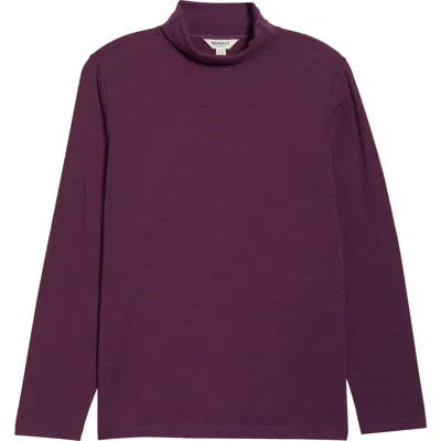 Seasalt Cornwall Landing Turtleneck Stretch Organic Cotton Top In Multi