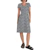Seasalt Cornwall Pier View Jersey Fit & Flare Dress In Multi