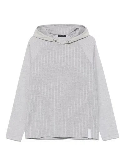 Sease Raglan Hoodie In Grey