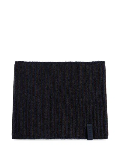 Sease Ribbed Snood In Blue