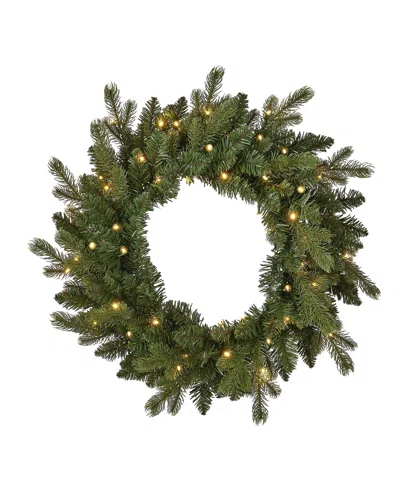 Seasonal 24" Palmetto Pine Wreath, 50 Dual Led Lights In Green
