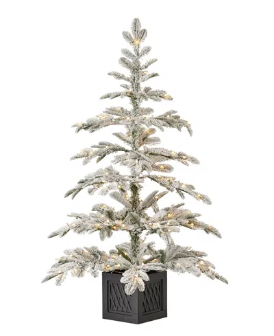 Seasonal 4ft Jackson Flocked Pine, 150 Warm Led Lights In Green