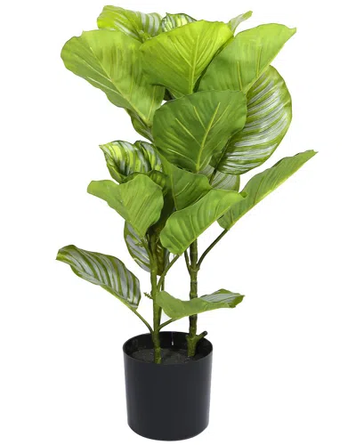 Seasonal Llc 23in Artificial Potted Fiddle Leaf In Green