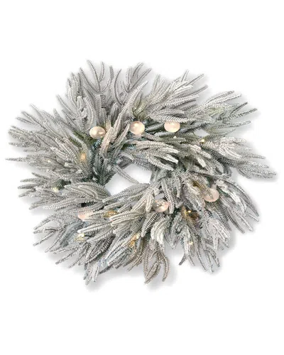 Seasonal Llc Frosted Acadia 24in Flocked Wreath In White