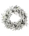 Seasonal Llc Royal Oaks Flocked Fir 24in Wreath In Green