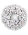 Seasonal Llc Seasonal Decor Flocked Winter Fir 24 Flocked Hard Needle Wreath