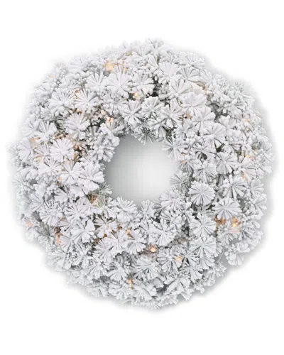 Seasonal Llc Seasonal Decor Flocked Winter Fir 24 Flocked Hard Needle Wreath
