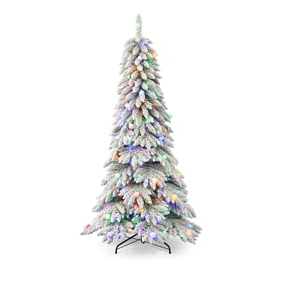 Seasonal Llc Snow Kissed Pine 6.5' Flocked Tree With Multicolor Led Lights In Open Green