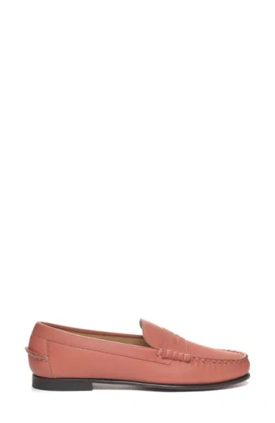 Sebago Danielle Pop Loafer In Chiffon