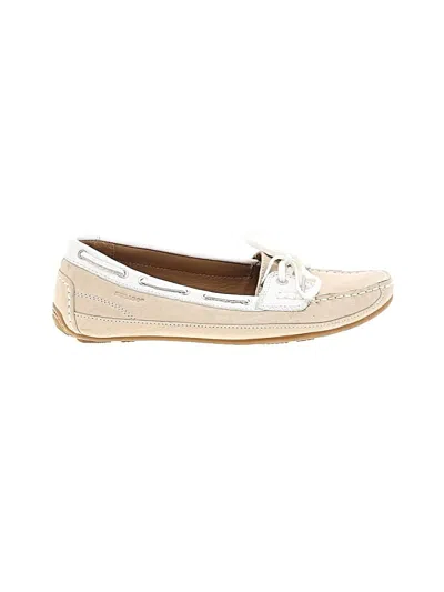 Pre-owned Sebago Flats In Brown