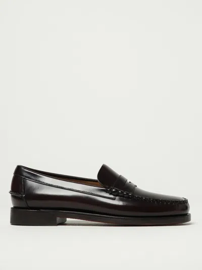 Sebago Loafers  Men Color Brown