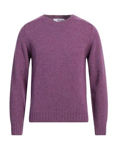 Sebago Man Sweater Mauve Size M Wool In Purple