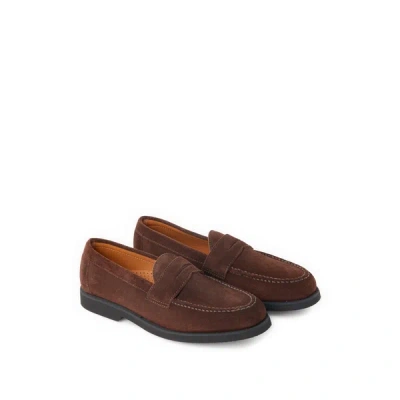 Sebago Suede Penny Loafers In Braun