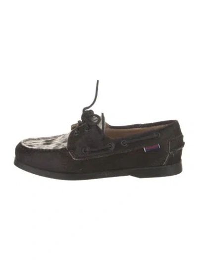 Pre-owned Sebago Oxfords In Multi