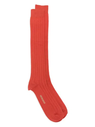 Sebago Sabattus Solid Color Socks