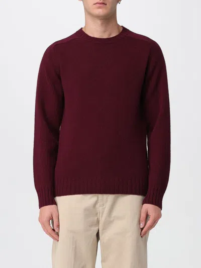 Sebago Sweater  Men Color Burgundy