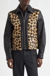 Second / Layer Second Layer Phreak Genuine Calf Hair & Leather Jacket In Multi