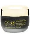 Secret Collagen Multi Vitamin E A & C Golden Magnetic Mud Revitalizing Mask