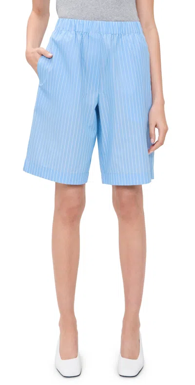 Secular Bermuda Shorts Blue Stripe