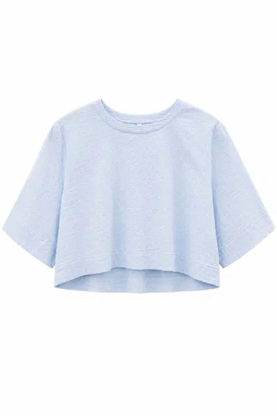 Secular Women's Violet Top In Blue