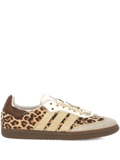Seddy's Seddys Sneakers In Multi