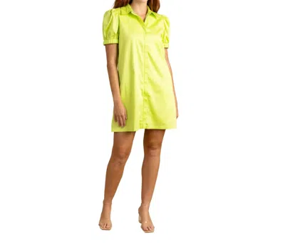 S'edge Anderson Dress In Algae In Multi