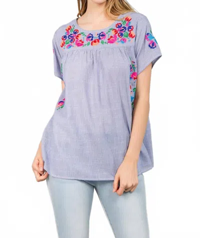 See And Be Seen On The Border Embroidered Top In Blue Stripe