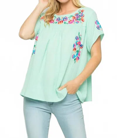 See And Be Seen On The Border Embroidered Top In Pistachio In White