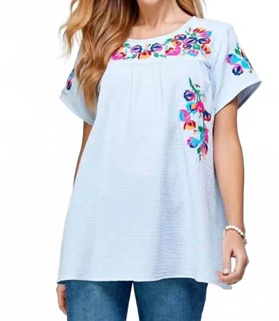 See And Be Seen On The Border Embroidered Top In Sky Blue